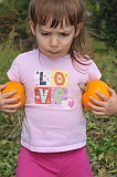 Pumpkin-Chunkin'-2009100497